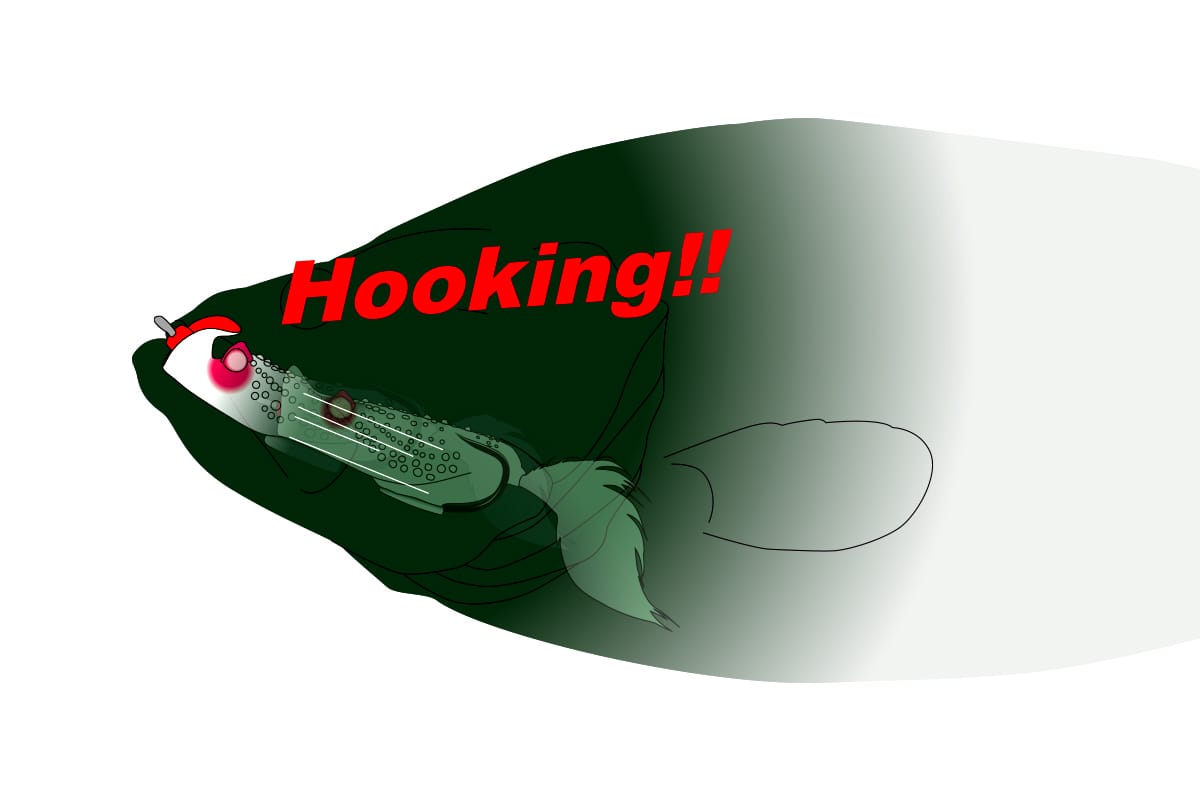Deps Busterk Popping Frog 61mm 1/2oz