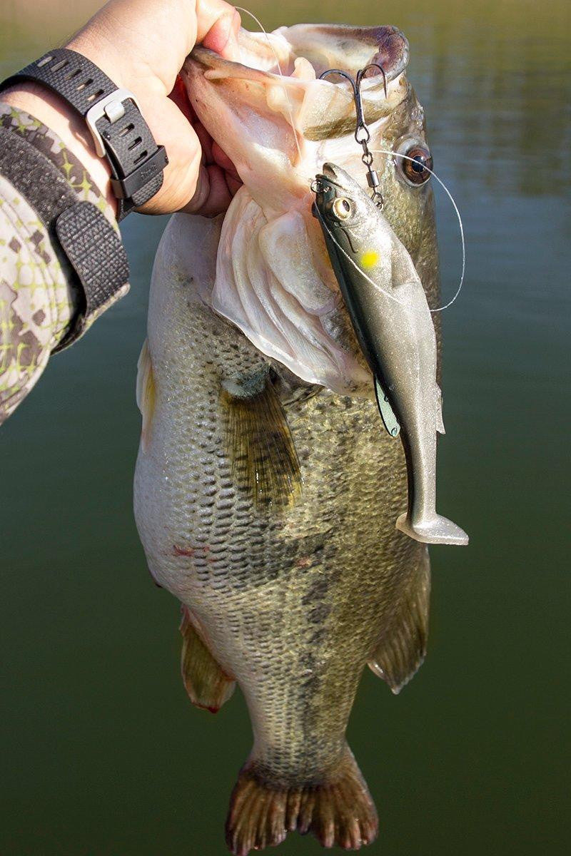 Megabass Magdraft 6"