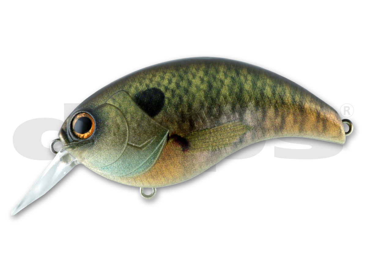 Deps Evoke 3.0 80mm