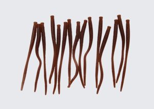 Pautzke Fire Worm Scented 15/pack More Colours Available