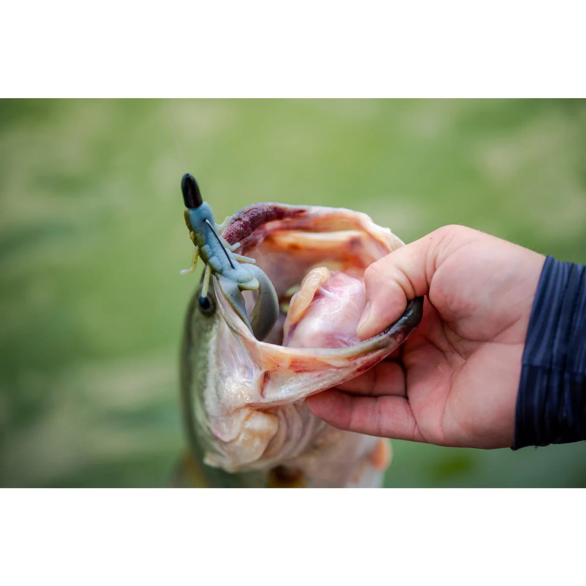 Berkley MaxScent Chigger Craw 7/pack