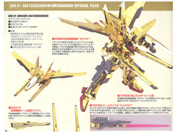 HG 1/100 #15 Akatsuki Oowashi/Shiranui