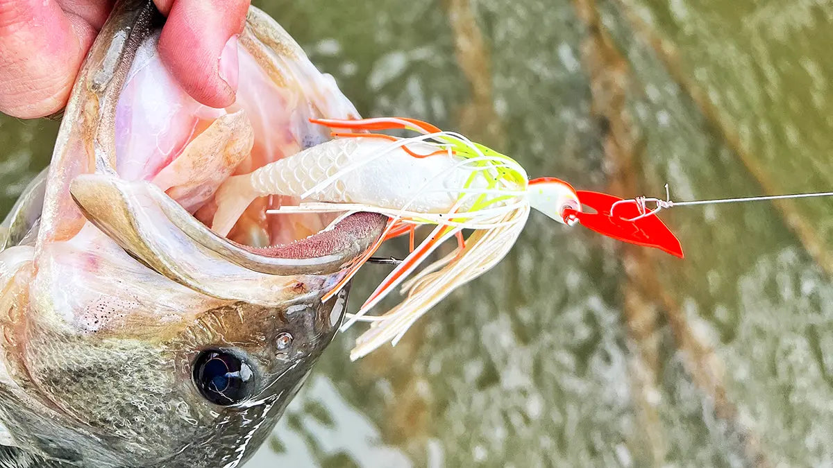 Berkley Slobberknocker Bladed Jig