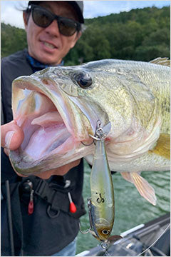Daiwa Steez Prop 85S (Sinking Prop) 8.5cm 13.8g