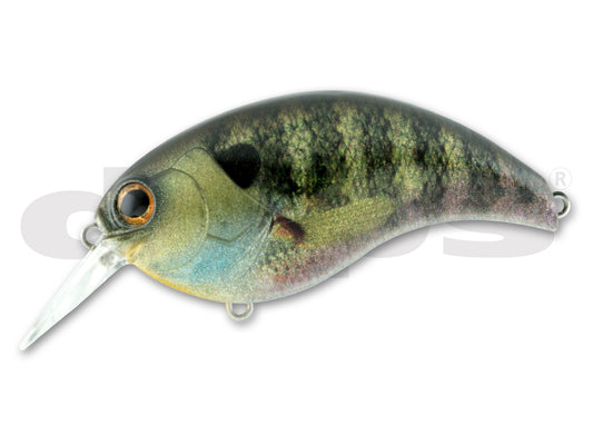 Deps Evoke 3.0 80mm