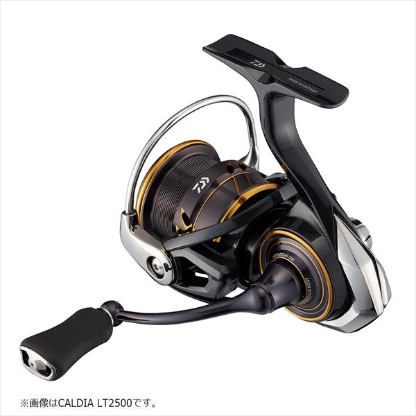 Daiwa 21 Caldia spinning reel