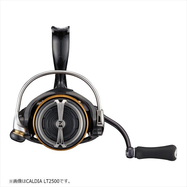 Daiwa 21 Caldia spinning reel