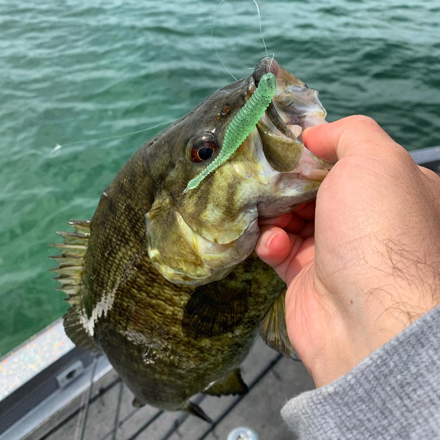 Great Lakes Finesse Drop Minnow 8/pack (Tournament Proven)