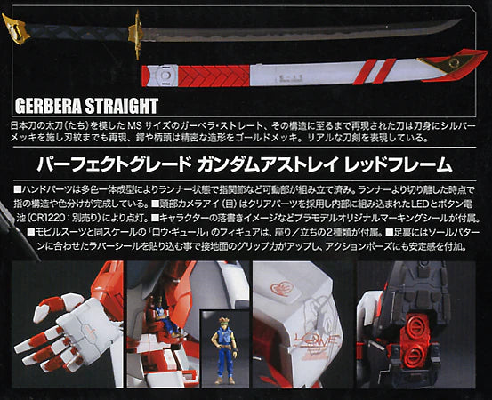 PG Gundam Astray Red Frame 1/60