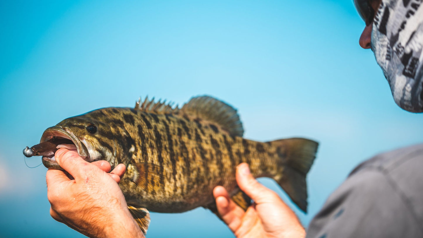 MB Spark Shad