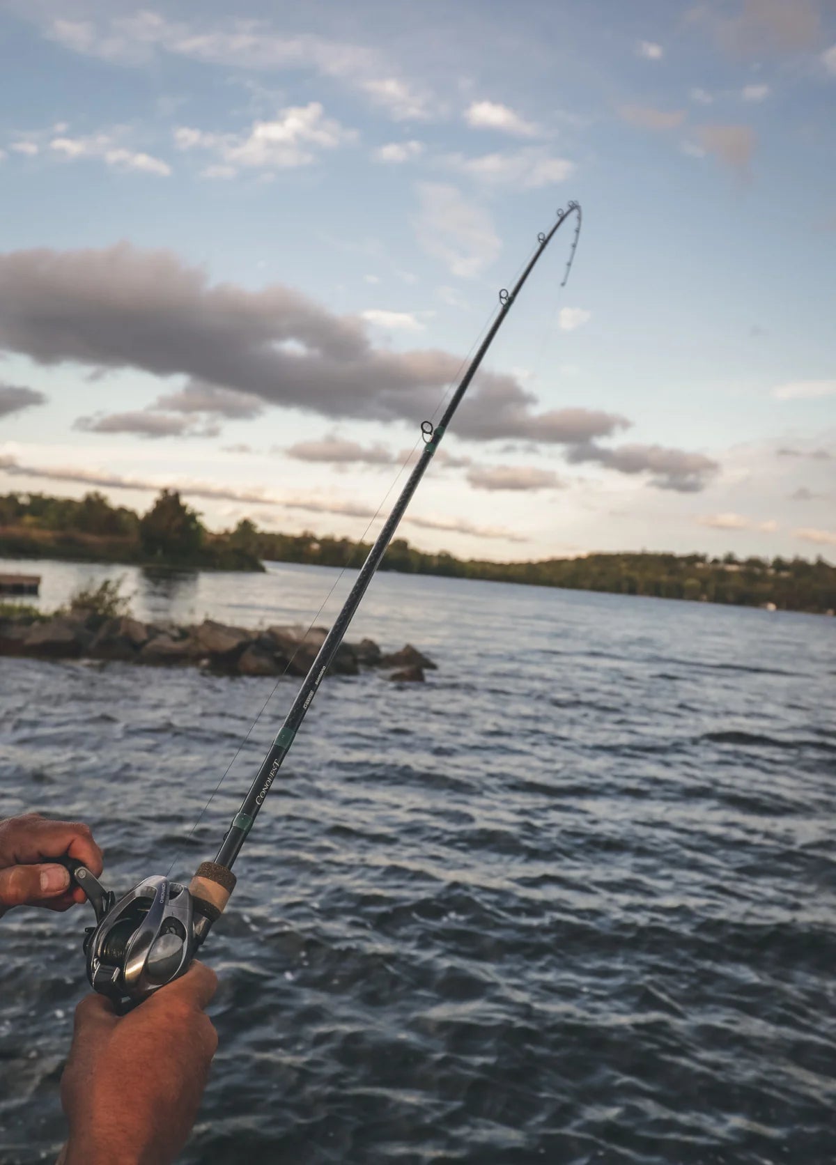 Gloomis Conquest Mag Bass Baitcasting Rod