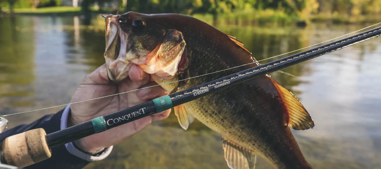 Gloomis Conquest Mag Bass Baitcasting Rod