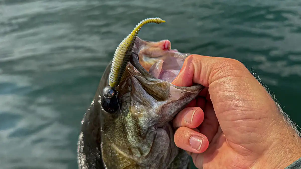 Great Lakes Finesse Drop Minnow 8/pack (Tournament Proven)