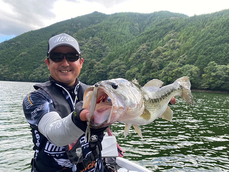 2025 Imakatsu BAKUSOKU SHAD 5'' 5/pack