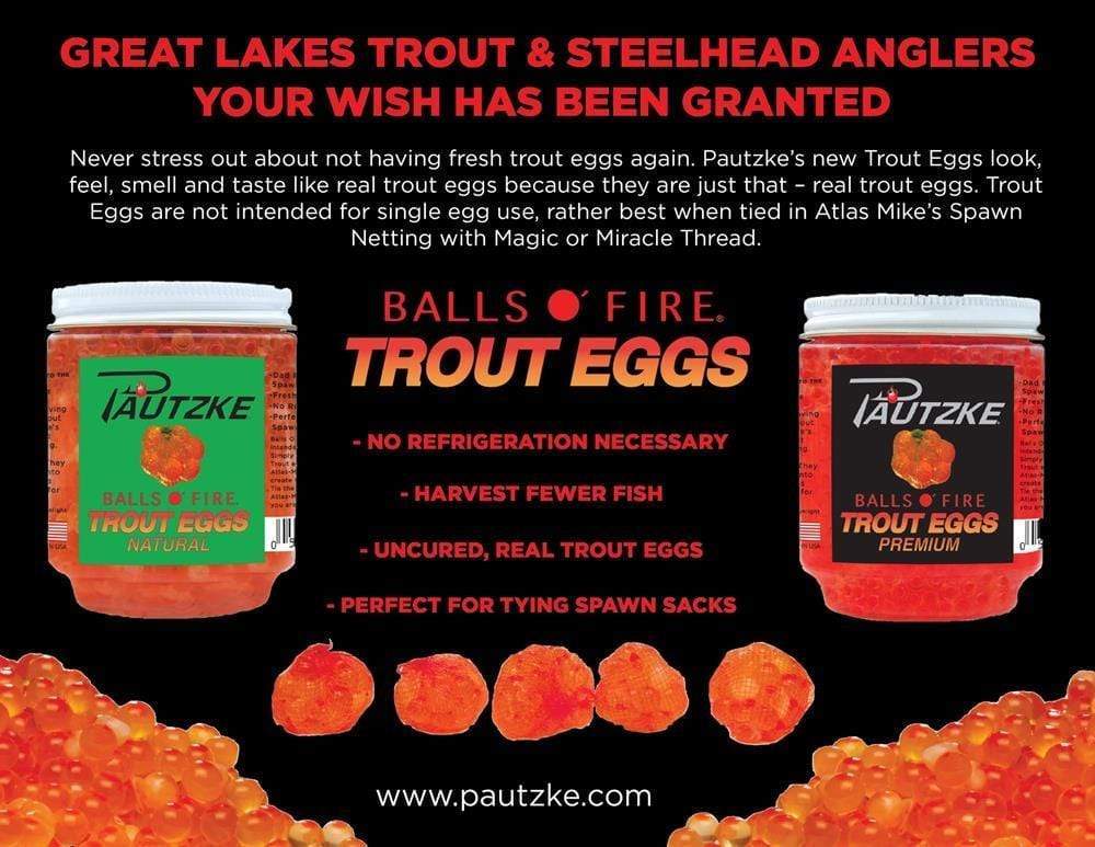 Pautzke Premium Trout Eggs 8oz