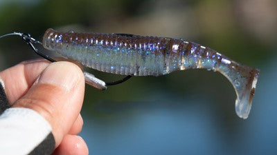 Gary Yamamoto Paddle Tail Zako 4'' 5/pack