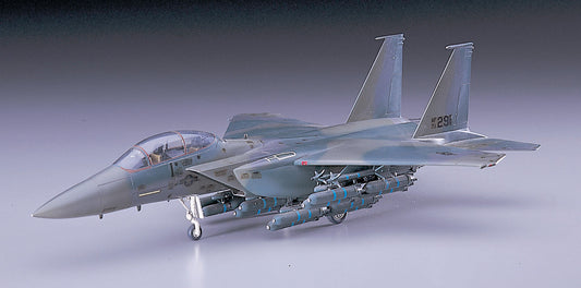 Hasegawa F-15E Strike Eagle E10