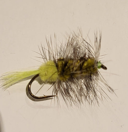 Hot Butt Woolly Worm Ch/Green 4/pack